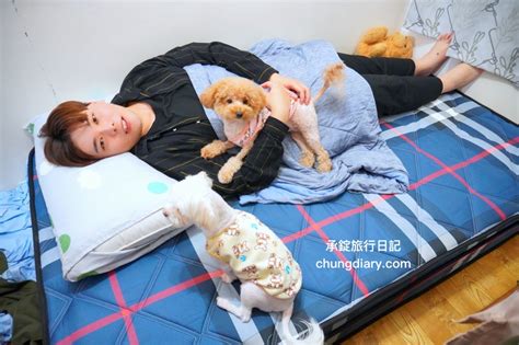 動物死了如何處理|寵物過世怎麼處理？4件事千萬要避免，才能讓毛小孩。